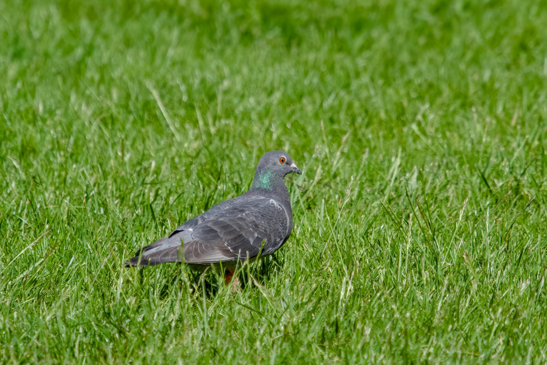 Białystok: Energia mieszkańców i troska o czystość miasta - połączenie wydarzeń kulturalnych i inicjatyw ekologicznych.